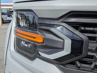 2026 Ford F-150 XLT BLACK WIDOW