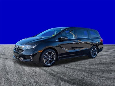 2023 Honda Odyssey Elite