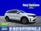 2021 Kia Sorento Hybrid EX