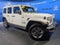 2020 Jeep Wrangler Sahara