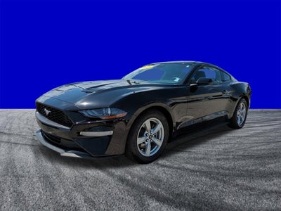 2023 Ford Mustang EcoBoost
