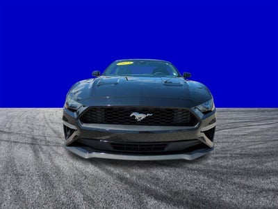 2023 Ford Mustang EcoBoost
