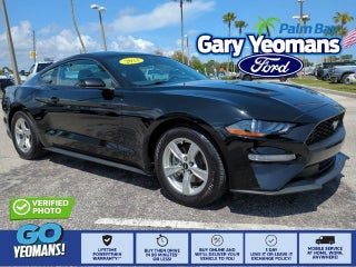 2023 Ford Mustang EcoBoost