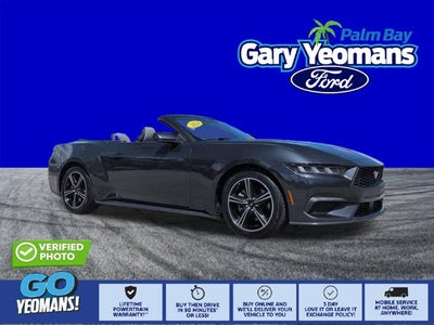 2024 Ford Mustang EcoBoost