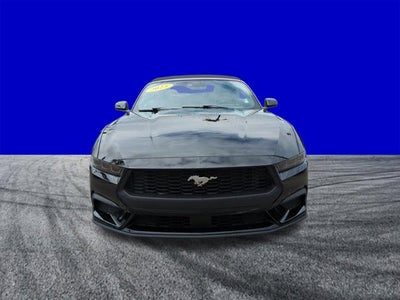 2025 Ford Mustang EcoBoost