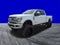 2019 Ford Super Duty F-250 Pickup Lariat