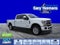 2021 Ford Super Duty F-250 SRW Platinum