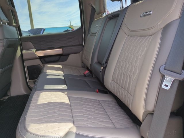 2025 Ford Super Duty F-350 DRW Pickup Platinum DRW