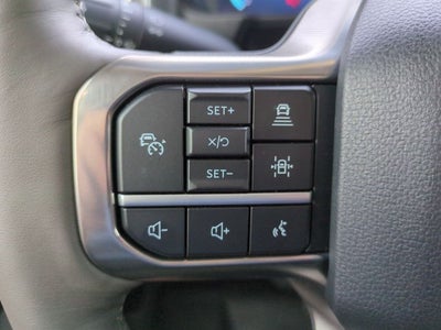 2025 Ford Super Duty F-350 DRW Pickup Platinum DRW