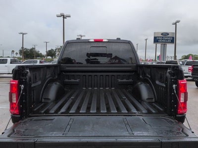 2023 Ford F-150 XLT SHERROD