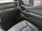 2023 Ford F-150 XLT SHERROD