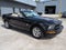 2009 Ford Mustang V6