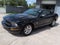 2009 Ford Mustang V6