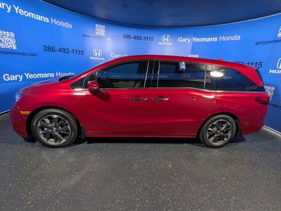 2024 Honda Odyssey Elite