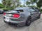 2022 Ford Mustang Shelby GT500 CARBON TRACK PACK PAINTED STRIPES & FULL PPF