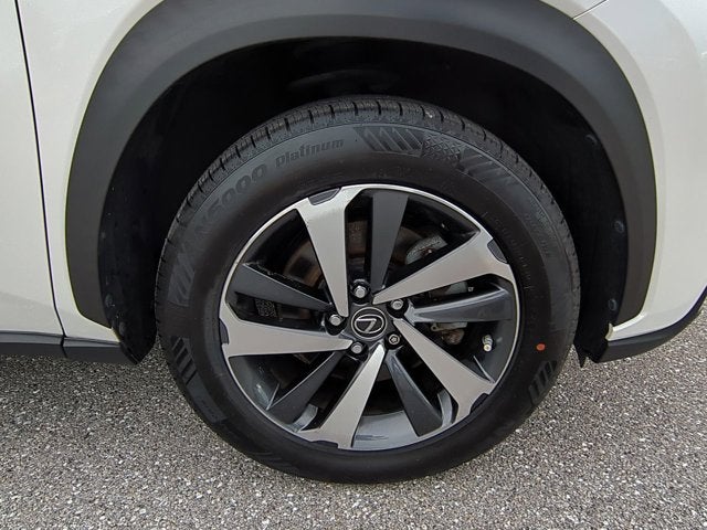 2020 Lexus NX 300 NX 300