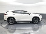 2024 Lexus NX 250 Premium