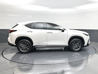 2024 Lexus NX 250 Premium