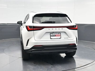2024 Lexus NX 250 Premium