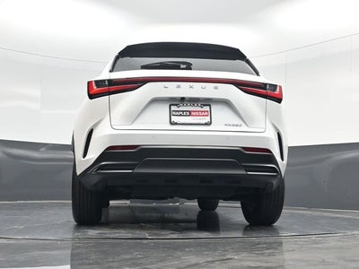 2024 Lexus NX 250 Premium