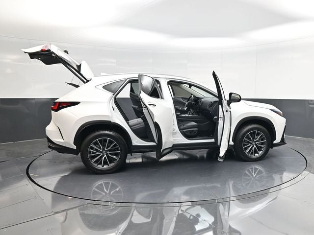 2024 Lexus NX 250 Premium