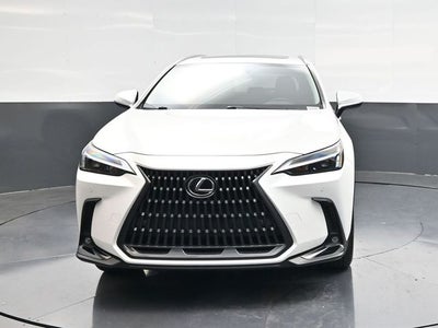 2024 Lexus NX 250 Premium