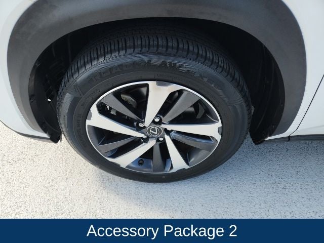 2020 Lexus NX 300h 300h