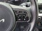 2022 Kia Niro EV EX