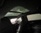 2023 Audi Q4 e-tron Sportback Premium Plus 50 quattro